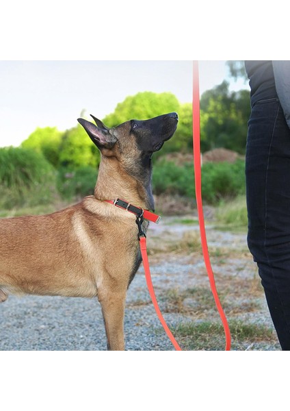 Durapup Turuncu Tasma Kayışı fırsatları