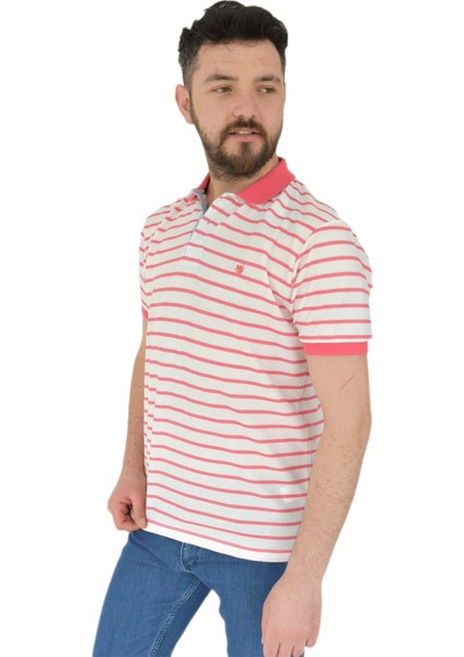 Erkek Çizgili Polo Yaka Tişört Waffle BGL-ST02790 fiyatları