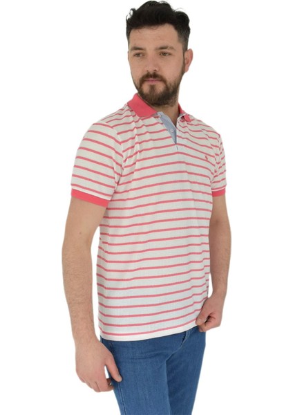 Erkek Çizgili Polo Yaka Tişört Waffle BGL-ST02790 modelleri