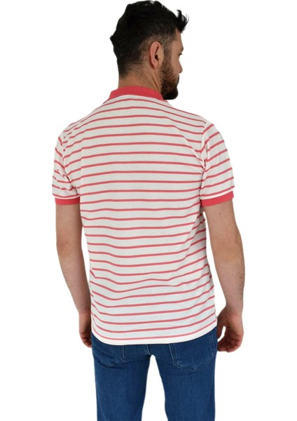 Erkek Çizgili Polo Yaka Tişört Waffle BGL-ST02790 fırsatları