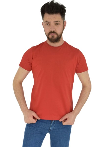 Erkek Sıfır Yaka Tişört Penye BGL-ST02799