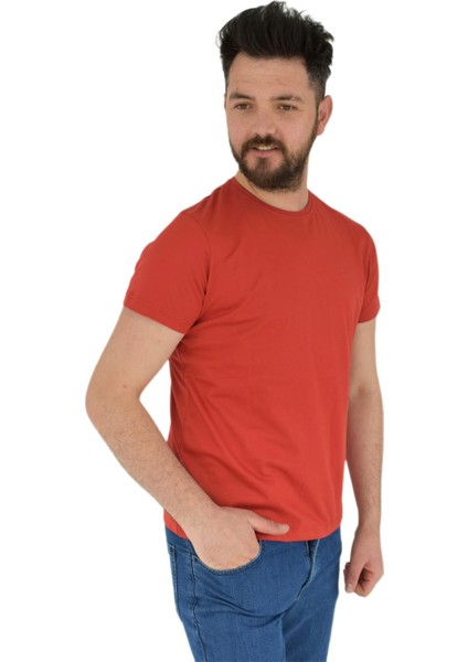 Erkek Sıfır Yaka Tişört Penye BGL-ST02799 fiyatları