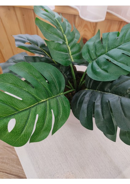 Monstera Devetabanı Beyaz Saksıda Yapay Çiçek