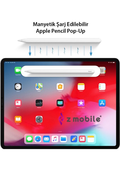 iPad Pro 12.9"  4. 5. 6. Nesil Tablet Kalemi Avuç Içi Reddi ve Eğim Özellikli Manyetik Şarjlı Kalem