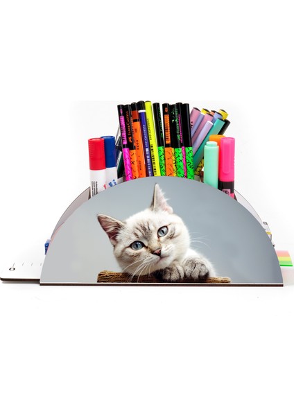 Ahşap Vip Kedi Serisi Gökkuşağı Cetvelli Masaüstü Kalemlik Organizer Montajlı Kutulu