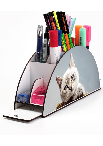 Ahşap Vip Kedi Serisi Gökkuşağı Cetvelli Masaüstü Kalemlik Organizer Montajlı Kutulu fiyatları