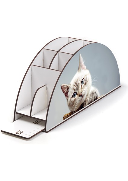 Ahşap Vip Kedi Serisi Gökkuşağı Cetvelli Masaüstü Kalemlik Organizer Montajlı Kutulu modelleri