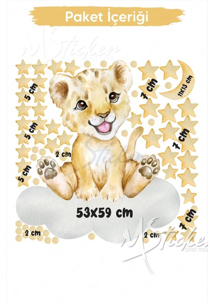 Sevimli Aslan ve Yıldızlar Çocuk Odası Duvar Cam Sticker Seti