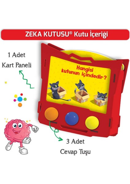 Zeka Kutusu Konuşmayı ve Dikkati Geliştiren Oyuncak