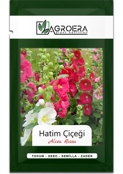 Hatim Çiçeği (Alcea Rosea) Çiçek Tohumu 50 Adet