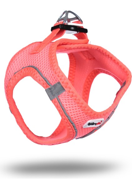 Premium Kedi & Mini Irk Köpek Gövde Tasması