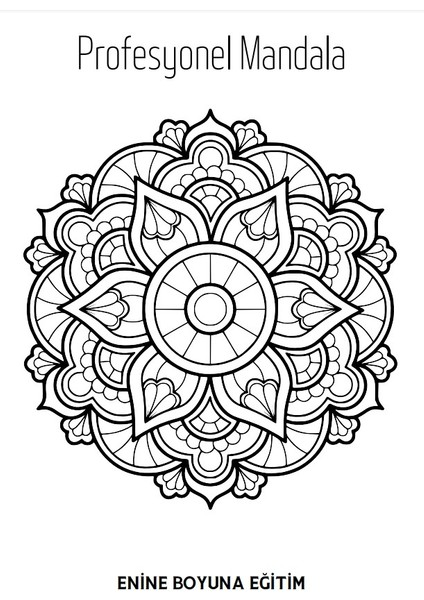 Süper Mandala Kitap Seti (3 Kitap) fiyatları