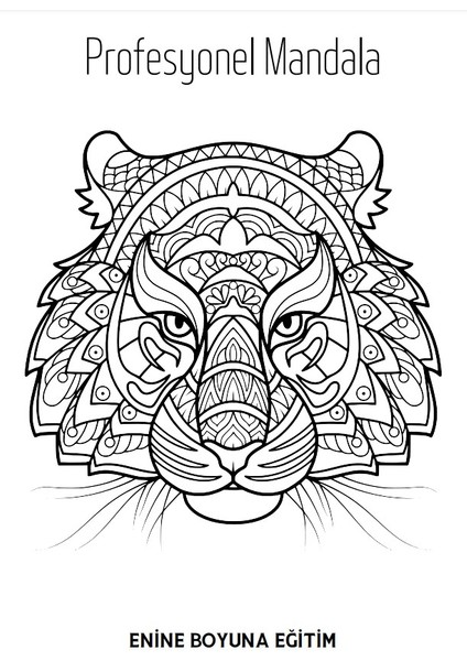 Süper Mandala Kitap Seti (3 Kitap) modelleri