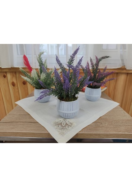 Doğal Dokulu Lavanta Beyaz Hasır Saksıda Dekoratif Masa Çiçeği fırsatları
