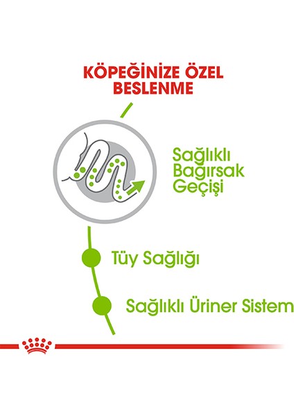 Xsmall Adult Yetişkin Köpek Maması 1,5 kg