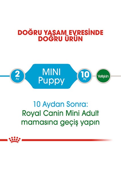 Mini Puppy Küçük Irk Yavru Köpek Maması 4 kg