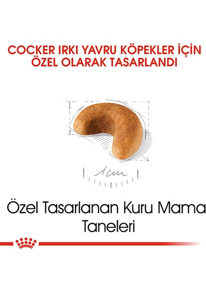 Cocker Junior Yavru Köpek Maması 3 kg