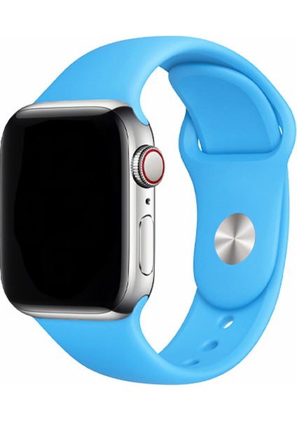 Apple Watch Uyumlu 3 4 5 6 7 8 Se Ultra 42MM 44MM 45MM 49MM Silikon Kordon Kayış Soft Yapı Yumuşak Klasik Voyoklas