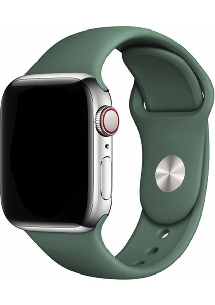 Apple Watch Uyumlu 3 4 5 6 7 8 Se 38MM 40MM 41MM Silikon Kordon Kayış Soft Yapı Yumuşak Klasik Voyoklas