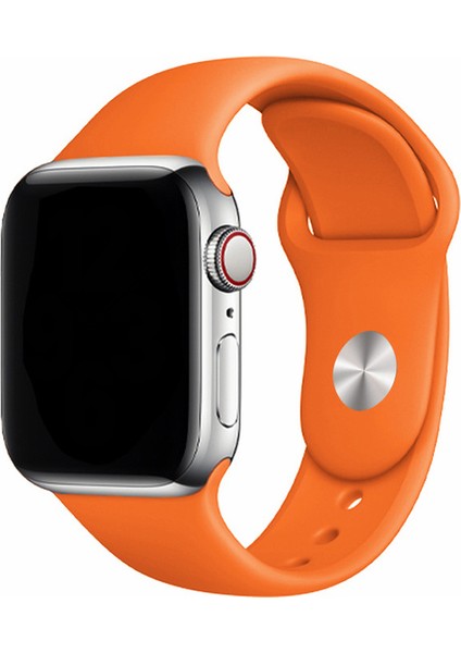 Apple Watch Uyumlu 3 4 5 6 7 8 Se 38MM 40MM 41MM Silikon Kordon Kayış Soft Yapı Yumuşak Klasik Voyoklas
