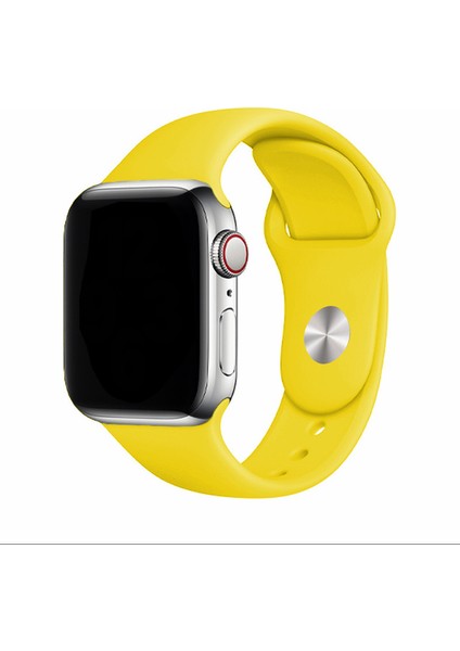 Apple Watch Uyumlu 3 4 5 6 7 8 Se 38MM 40MM 41MM Silikon Kordon Kayış Soft Yapı Yumuşak Klasik Voyoklas