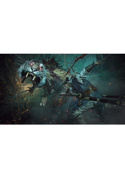 Wo Long Fallen Dynasty Playstation 5 Ps5 Oyun