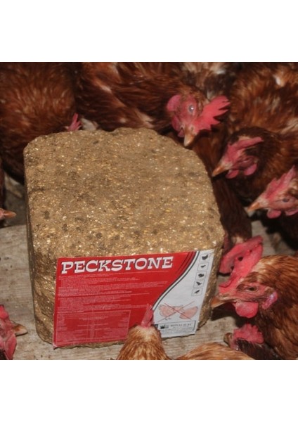 Royal Avian Peckstone