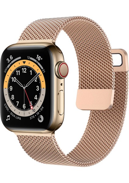 Apple Watch 3 4 5 6 7 8 Se Ulltra 49MM 45MM 44MM 42MM Kordon Hasır Metal Kayış Hpy-01 Voyometal