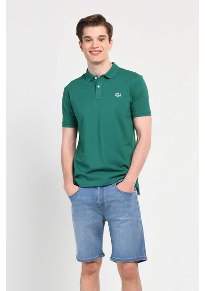 Lakes Yeşil Polo Yaka Nakışlı Erkek Tshirt fiyatları