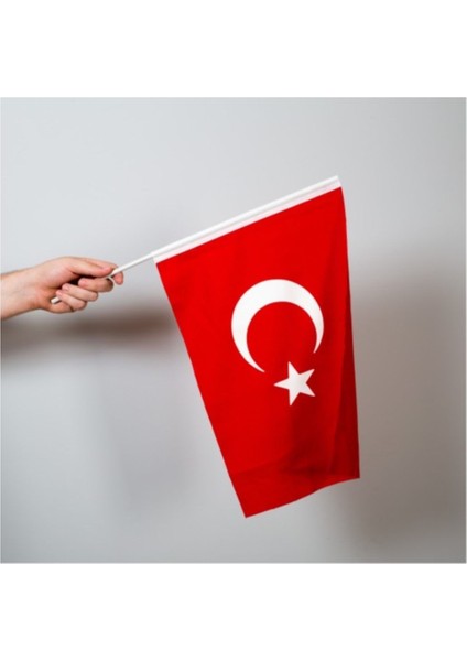 Türk Bayrağı 50X75 cm Alpaka Kumaş - Sopalı