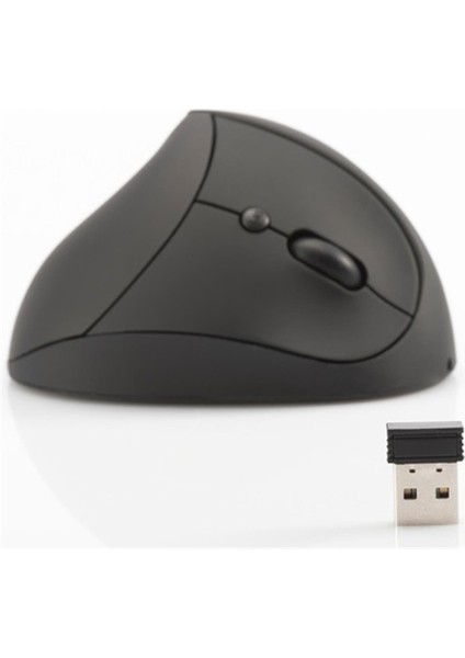 Dıgıtus DA-20155 Optik Kablosuz Mouse