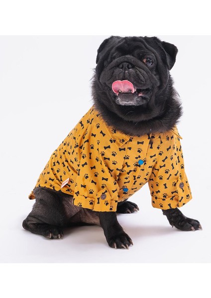 Mustard Ossa Kedi ve Küçük Irk Köpek Gömleği (2,5 kg-11 kg arasına uygun)