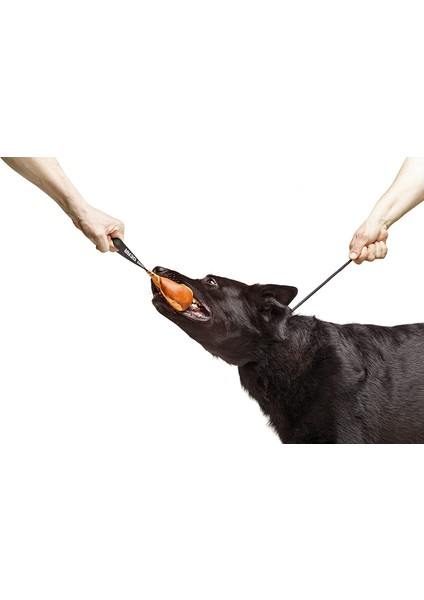 Köpek Eğitim Tasması, Ayarlanabilir Boğma Tasma, Renkli Köpek Tasması 55cm modelleri