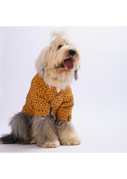 Mustard Ossa Orta-Büyük Irk Köpek Gömleği (11 Kg-45 kg Arasına Uygun)