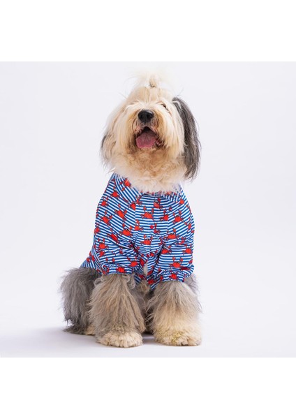 Crabs Orta-Büyük Irk Köpek Gömleği (11 Kg-45 kg Arasına Uygun)