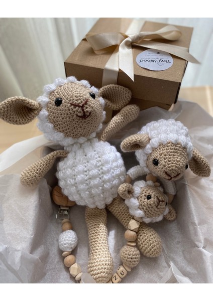 Hoşgeldin Bebek, Unisex, Organik Uyku Arkadaşı Emzik Zinciri Diş Kaşıyıcı Yenidoğan Hediye Seti