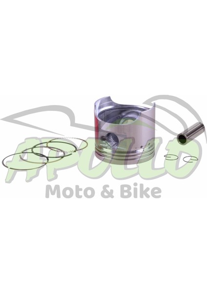Cup 100 cc Piston Segman Seti