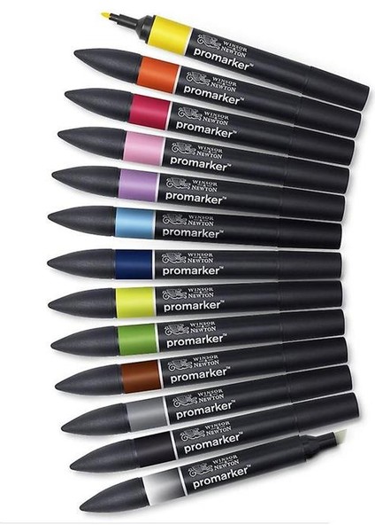 Winsor Newton Promarker 12+1 Set