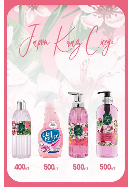 Japon Kiraz Çiçeği Seti 1