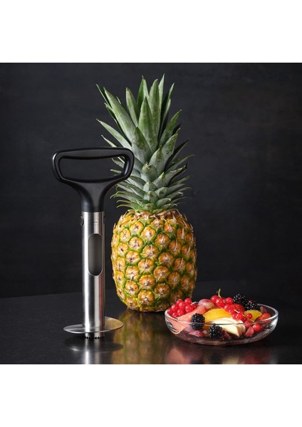 Ananas Dilimleyici Pro modelleri