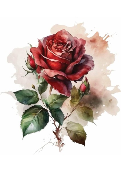 Sulu Transfer LNT-129 25X35 cm