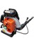 Garden Pro EB650 Benzinli Üfleme Makinası 1