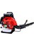 Garden Pro EB985 Benzinli Üfleme Makinası 5 Hp 1