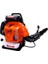 Garden Pro EBZ9900 Benzinli Üfleme Makinası 5 Hp 3