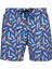 Print Swim Shorts Erkek Şort Mayo 1315072-902 Renkli 1