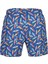 Print Swim Shorts Erkek Şort Mayo 1315072-902 Renkli 2