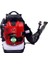 BBX9900-4 Zamanlı Benzinli Üfleme Makinası 5 Hp 1