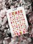 Karpuz Tırnak Dövmesi Tırnak Tattoo Nail Art Tırnak Sticker 1