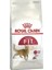 Fıt 32 Yetişkin Kedi Maması 2 kg 2