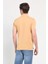 Lakes Kahve Polo Yaka Nakışlı Erkek Tshirt 4